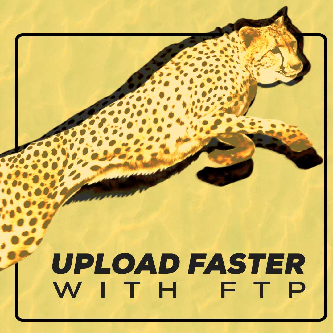 上传 FTP | DevOps